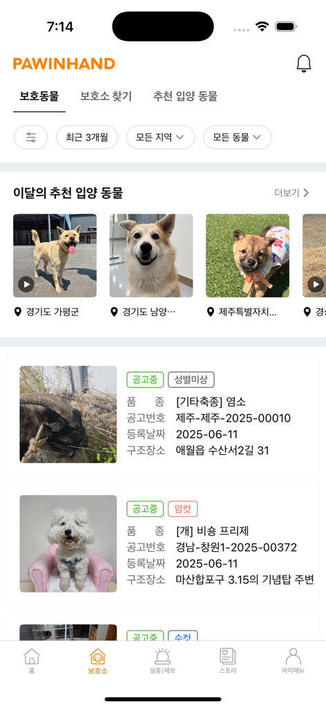 Mobile App-Oberfläche von Paw In Hand, die eine Liste von ausgesetzten Tieren zeigt, die zur Adoption in Tierheimen verfügbar sind, darunter Hunde und eine Ziege.