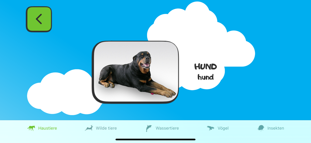 Lern-App-Bildschirm für Kinder, der das deutsche Wort für Hund 'Hund' mit einem Bild lehrt