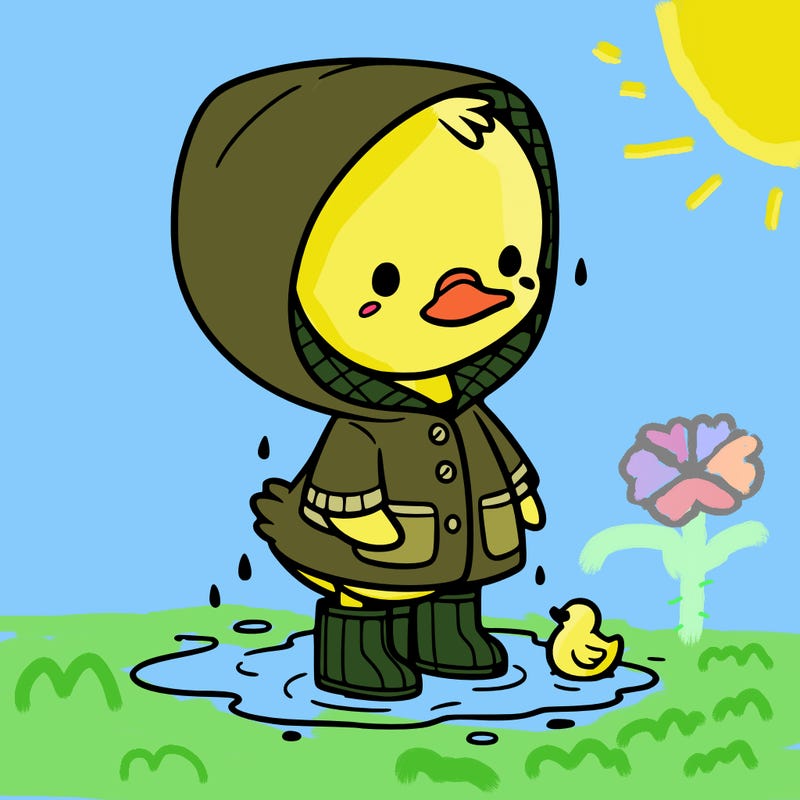baby duck in a rain coat and boots, in a puddle while it’s raining