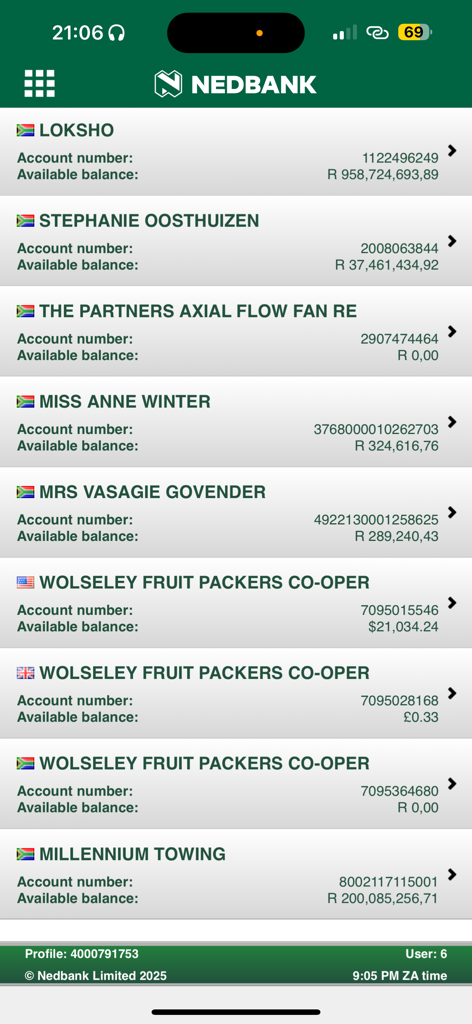 Nedbank AppSuite dashboard listing various business bank accounts and their available balances.