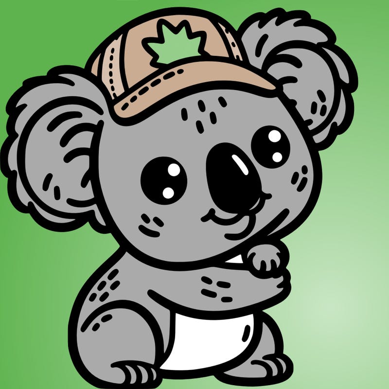 a koala with the australian cap