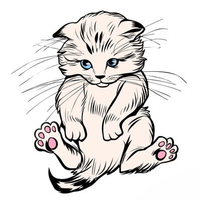 animals_20