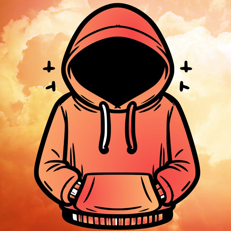 hoodie