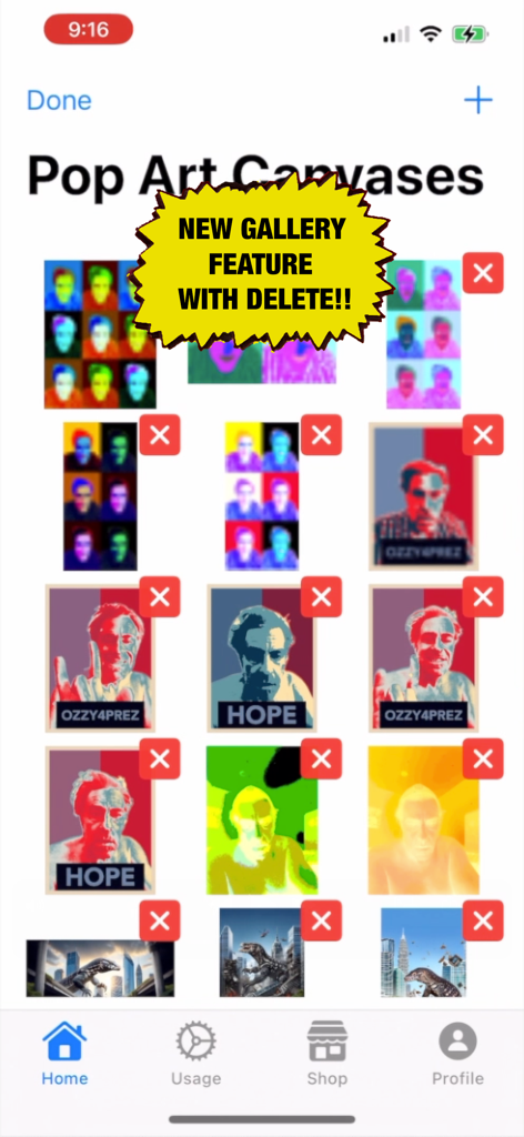 Pop Art Lite - Uma visualização de galeria no aplicativo Pop Art Lite mostrando várias telas de arte pop com um novo recurso de exclusão destacado