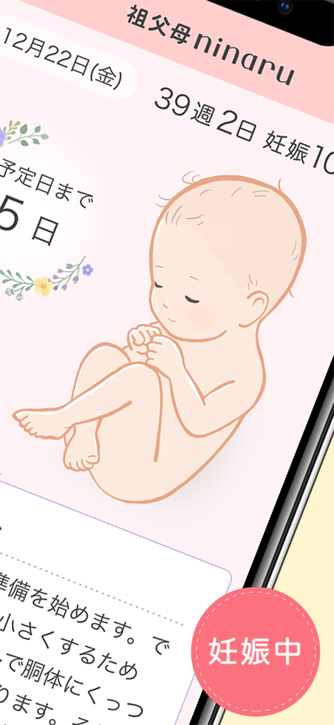 祖父母ninaru（になる）：妊娠・育児を支えるアプリ - Pantalla de la aplicación Abuelos ninaru que muestra una ilustración fetal y una cuenta regresiva de 39 semanas de embarazo.