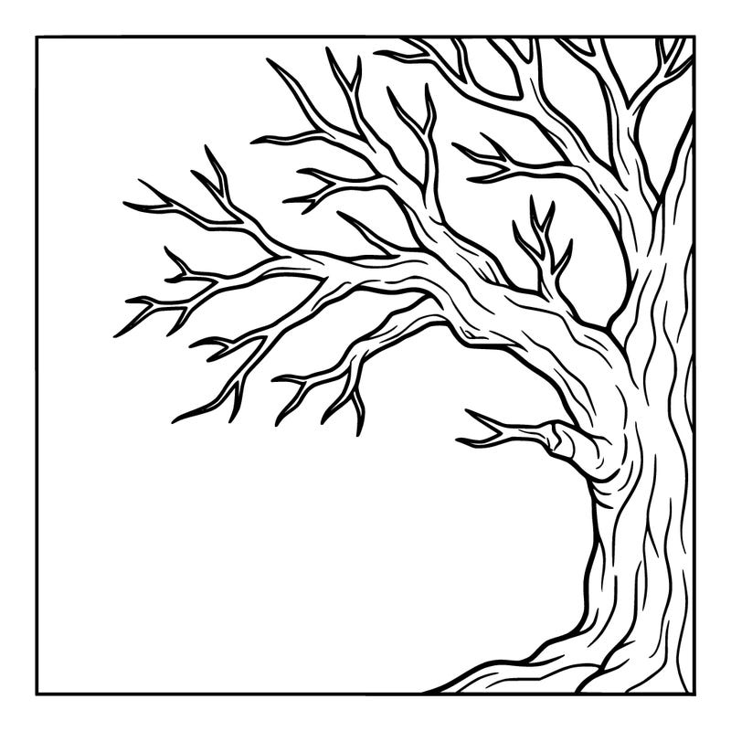 a big tree with no leaves coming out of the side of a picture