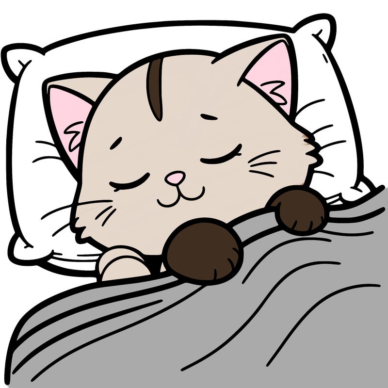 sleepy%20cat
