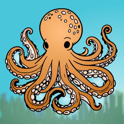 octopus