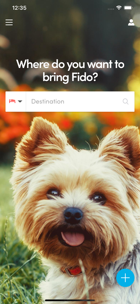 BringFido app home screen with a destination search bar and a dog