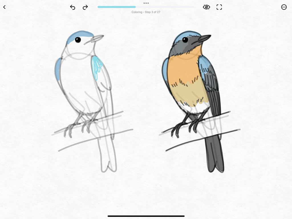 A step-by-step bird coloring tutorial inside the ShadowDraw iPad app.