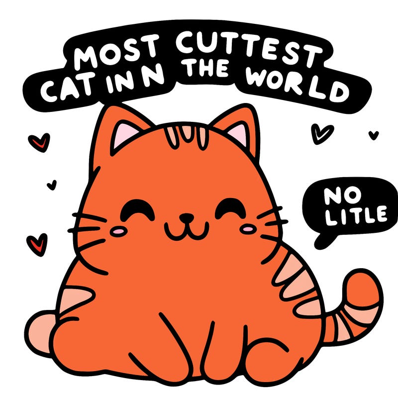 the most cutiest cat in the world