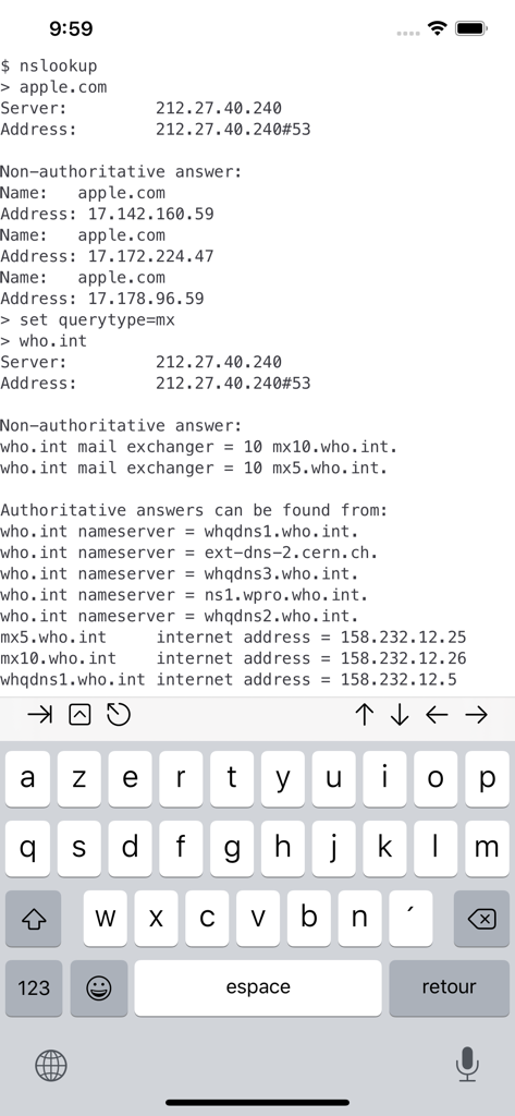 a-Shell mini - a-Shell mini terminal app on iPhone running the nslookup command for DNS queries