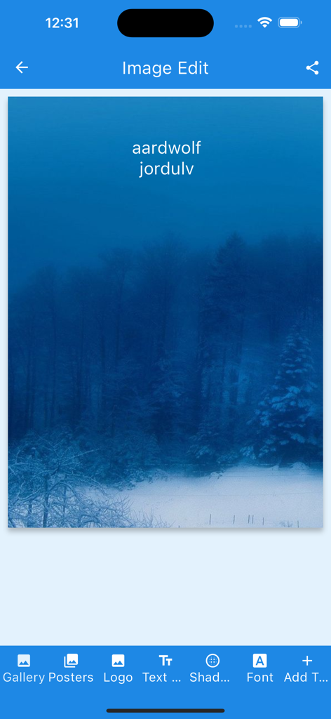 Norwegian Word Dictionary - Screenshot of the image editing feature in the Norwegian Word Dictionary app showing a translation on a snowy background