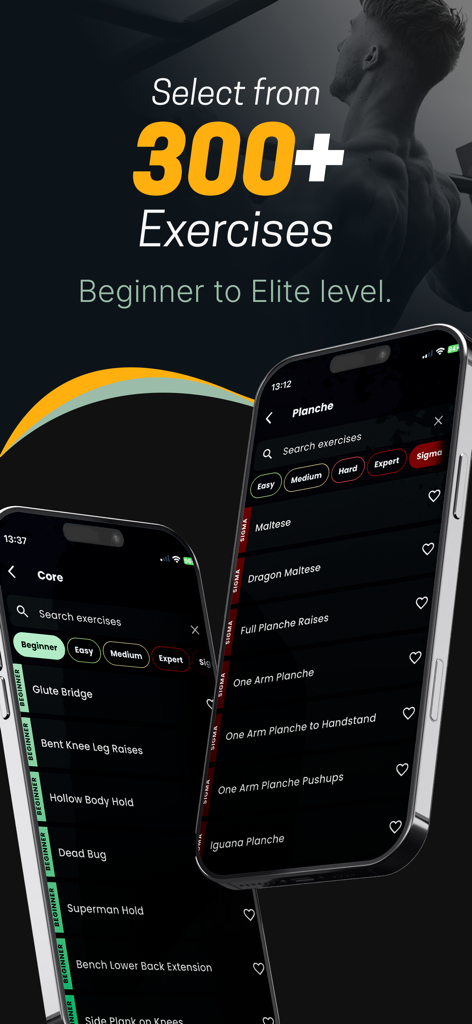 Calisthenics & Gym Tracker - Mobile app screen showing a library of over 300 calisthenics exercises ranging from beginner to elite level