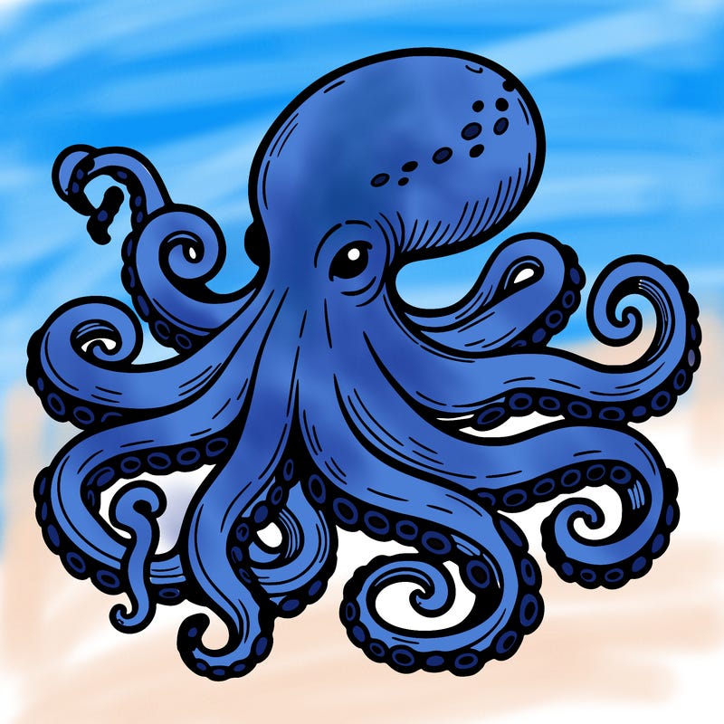 octopus