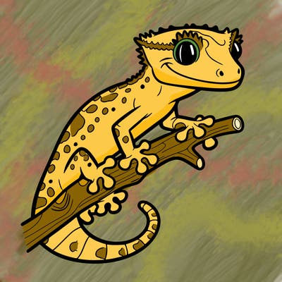 crested gecko on a stick