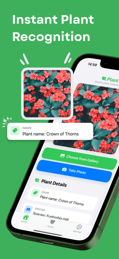 Plant Identifier & Flower Id - Interfaz de la aplicación Identificador de Plantas identificando una flor Corona de Espinas