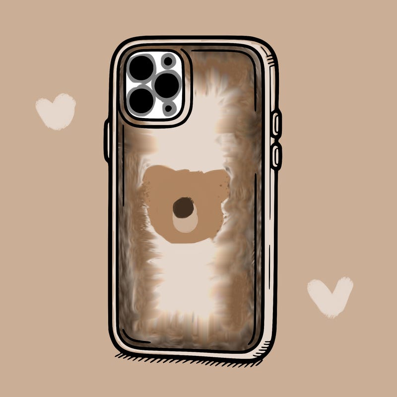 phone case