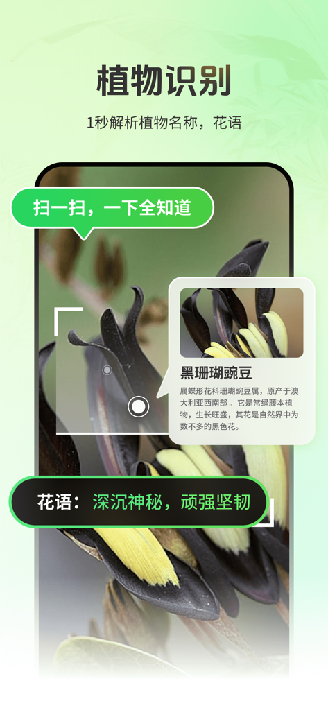 Mobile app screen identifying a black coral pea flower using AI.