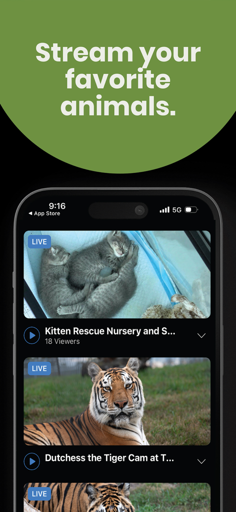 Explore.org: Live Animal Cams - Mobile app interface for Explore.org displaying live video streams of a kitten rescue nursery and a tiger