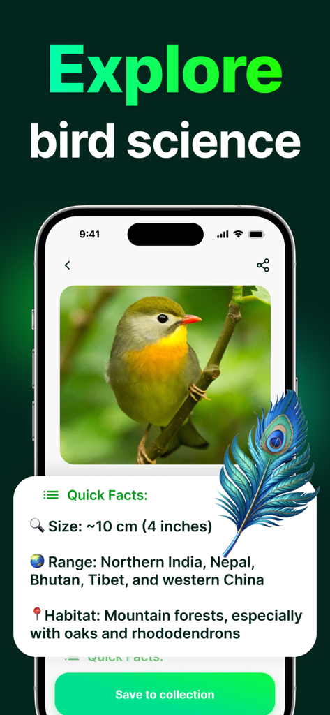 Bird ID - Call Identification - Bird IDアプリで、写真、サイズ、分布、生息地の詳細が表示された鳥の種のプロファイルを示すスマートフォン