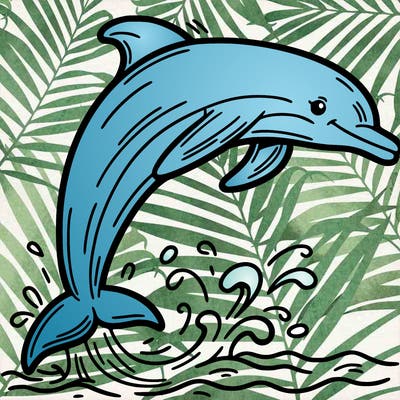 dolphin