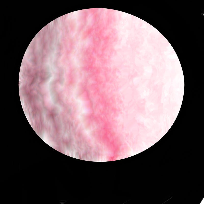 a plain circle with nothing else