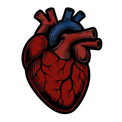 realistic heart