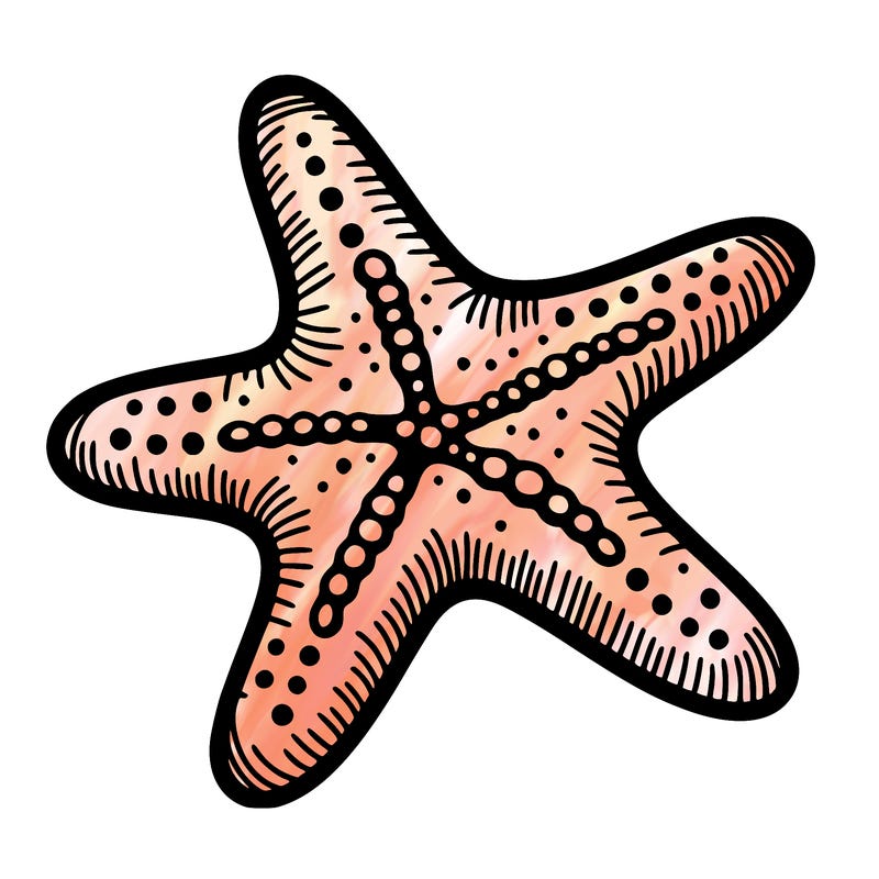 starfish