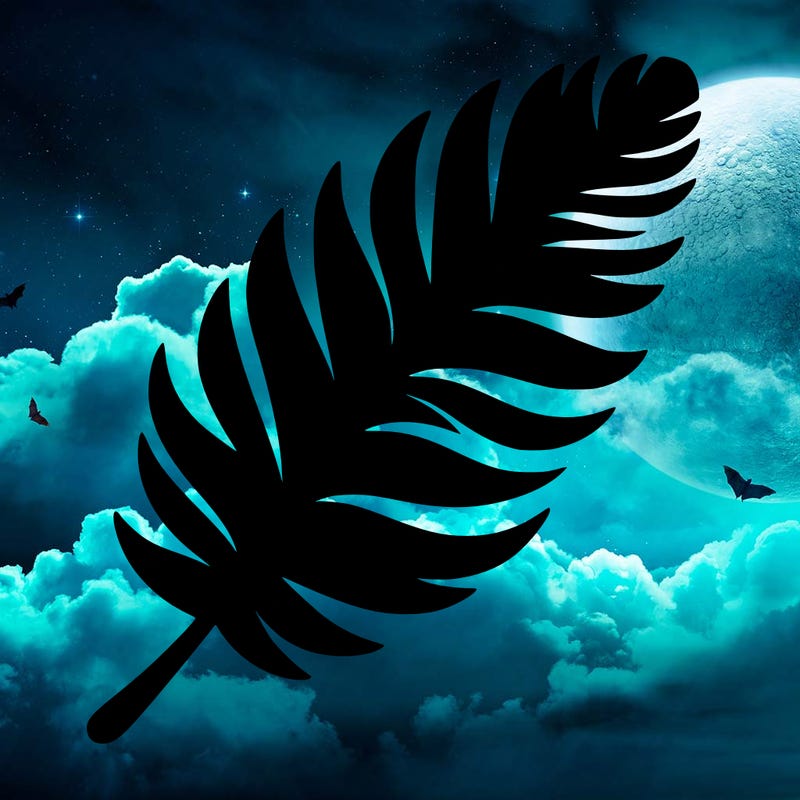 silhouette of a parrot feather