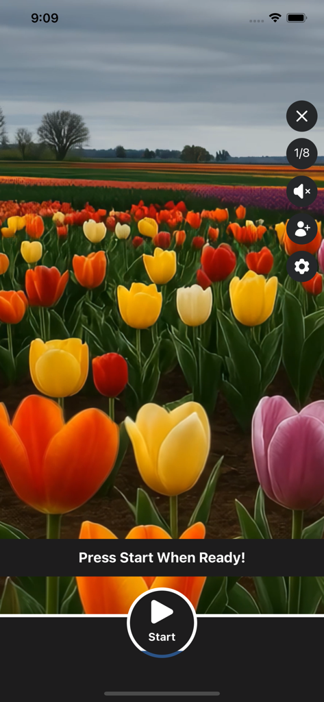 Breathe2Relax - Breathe2Relax app interface featuring a colorful tulip field background and a start button for breathing exercises