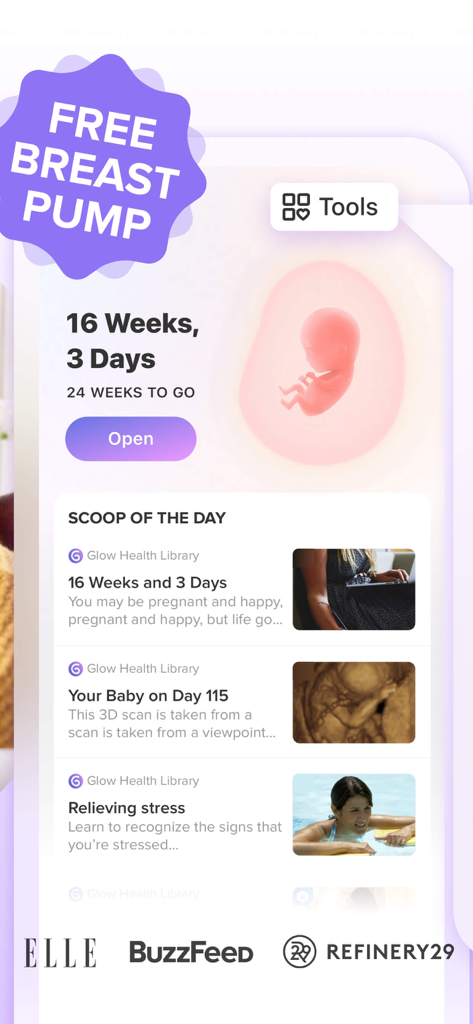 Nurture pregnancy app dashboard displaying week 16 progress with a fetus illustration and daily health articles