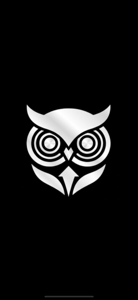 Night Eyes Vision - Silver owl logo for the Night Eyes Vision app on a black background