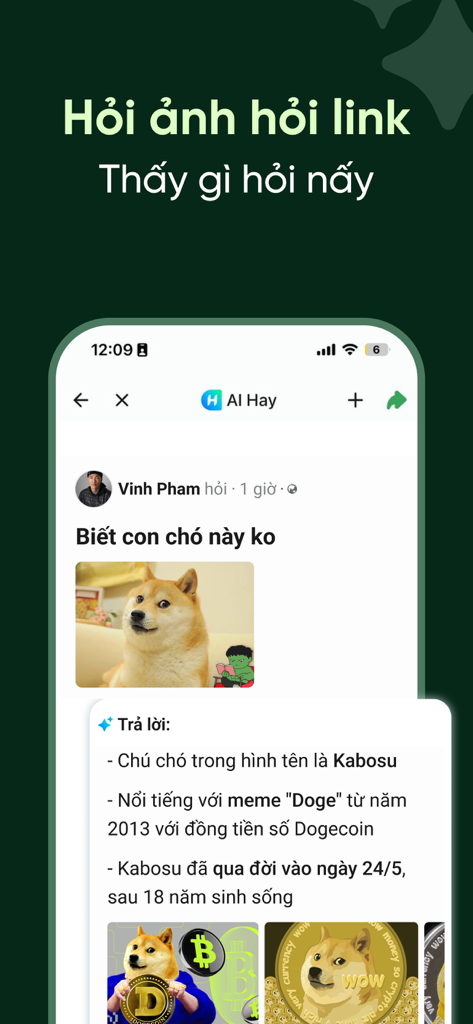 AI Hay – Smart Local AI - AI Hay app identifying the Doge meme using instant image recognition