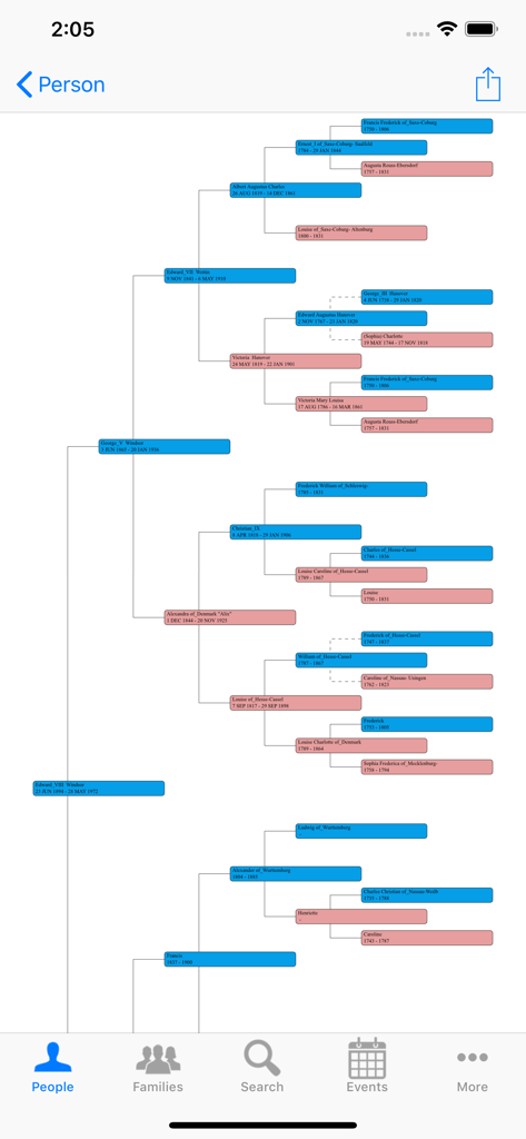 Ein horizontaler Ahnentafel-Chart in der GedView-App, der Familienbeziehungen mit blau und rosa gefärbten Feldern anzeigt.