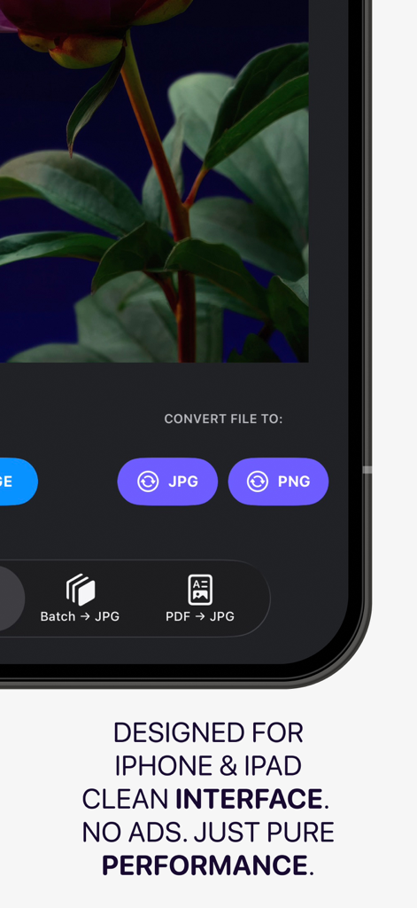JPG Converter mobile app interface for iPhone and iPad featuring batch conversion tools