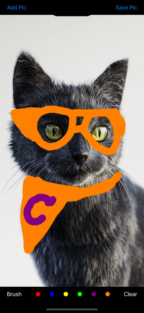 Draw On My Pics - Un gato negro con gafas naranjas y un pañuelo dibujados en su foto usando la interfaz de la aplicación Draw On My Pics.