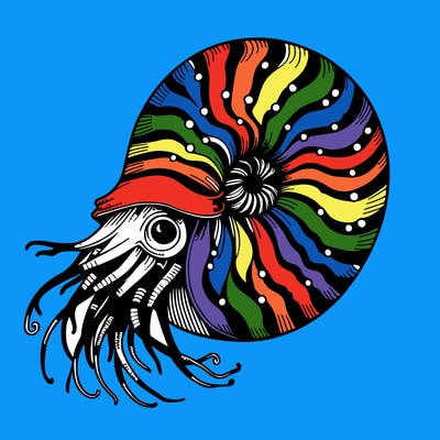 nautilus
