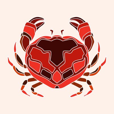 animals_16