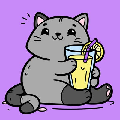 cat with orange juice