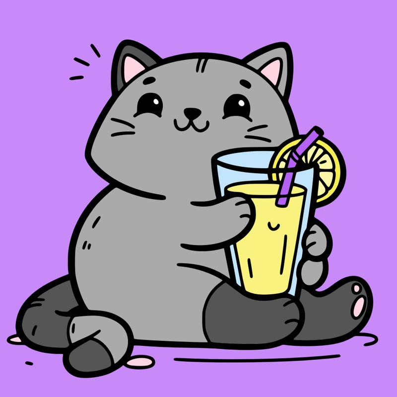 cat with orange juice