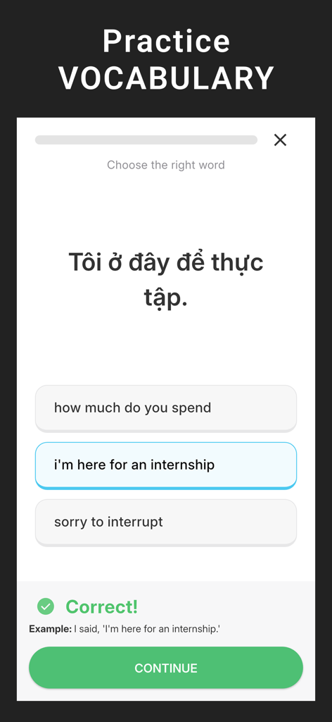 Lang Shadow: English Shadowing - English vocabulary practice screen in the Lang Shadow app showing a translation quiz with correct answer feedback