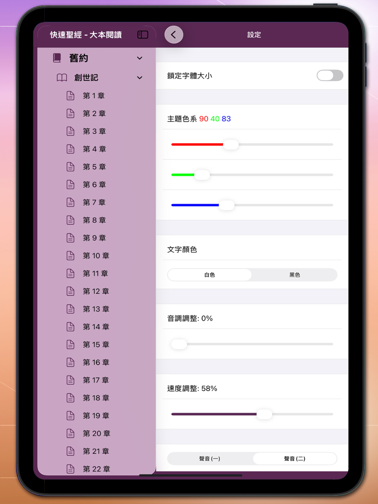 快速聖經 - 大本閱讀 - Le menu des paramètres de l'application 聖經速讀 sur iPad affichant diverses options de réglage d'affichage et audio.