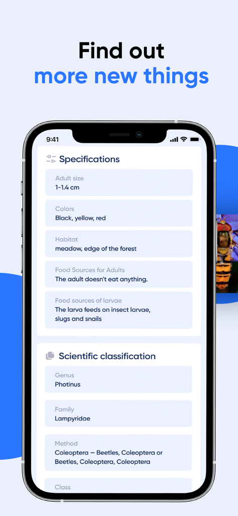 Bug Identifier: AI Insect id - A smartphone screen displaying the physical specifications and scientific classification of an insect within the Bug Identifier app.