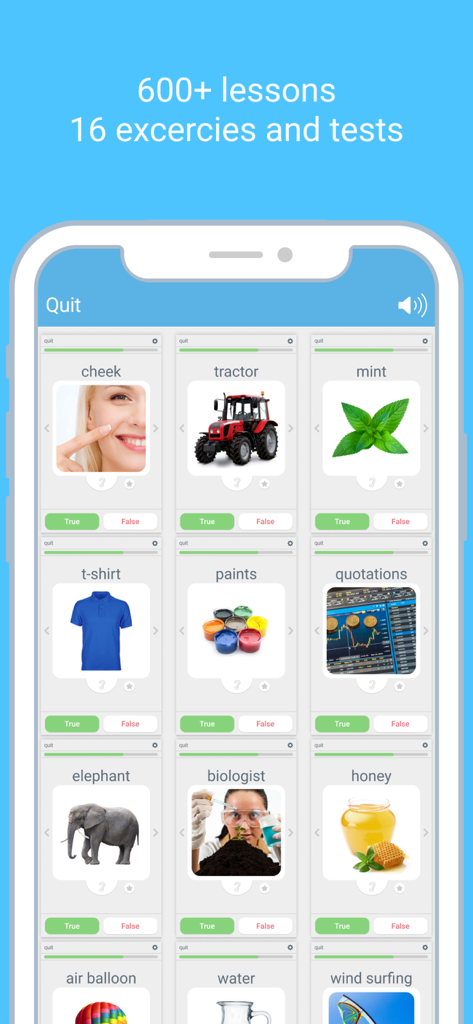 LinGo Play app interface displaying a grid of vocabulary flashcards with images and labels
