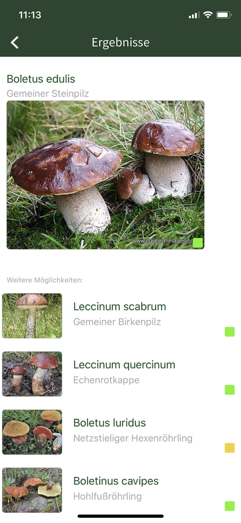 PilzSnap - Pilze sammeln! - Schermata dei risultati dell'identificazione dei funghi di PilzSnap con codici colore di sicurezza
