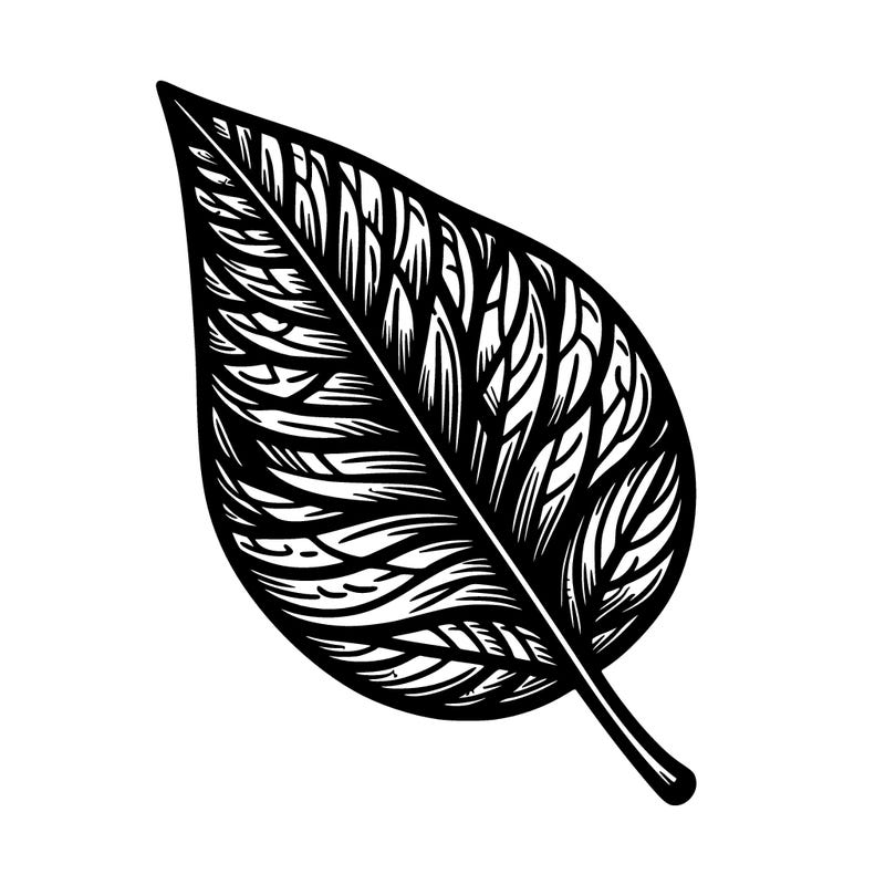 leaf