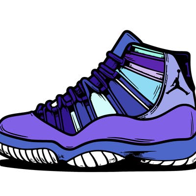 jordan 11s