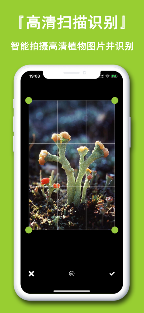 A smartphone interface showing the plant identification scanning feature with a macro photo of a plant