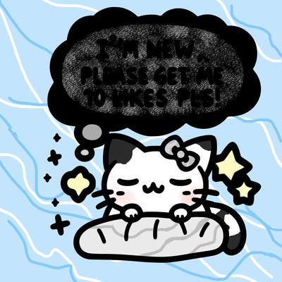 kitty taking a nap dream talking and saying "i'm new, please get me at least 10 likes pls!!"
